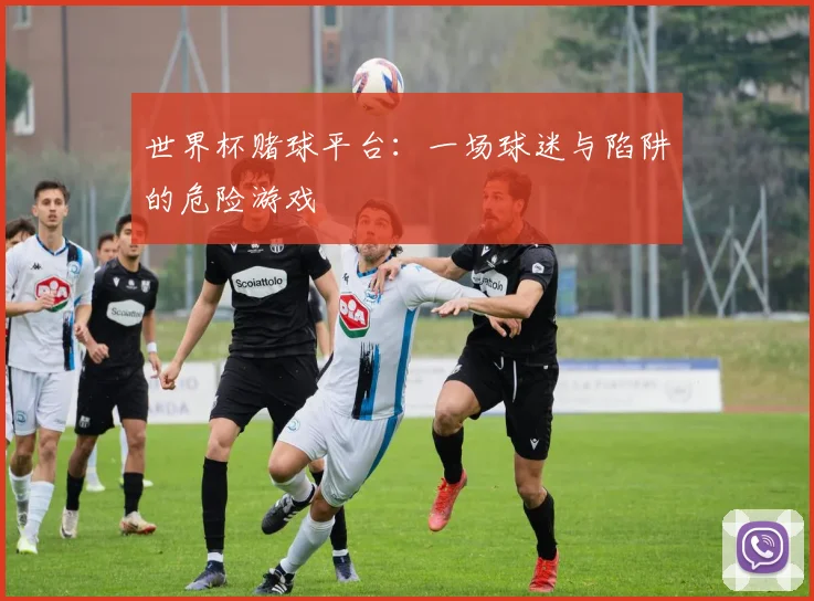 世界杯赌球平台：一场球迷与陷阱的危险游戏