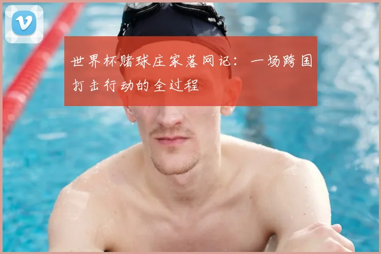 世界杯赌球庄家落网记：一场跨国打击行动的全过程