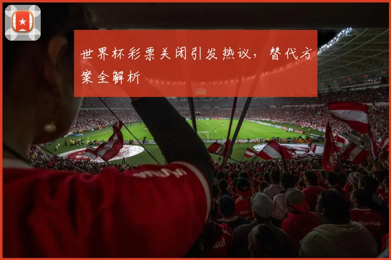 世界杯彩票关闭引发热议，替代方案全解析