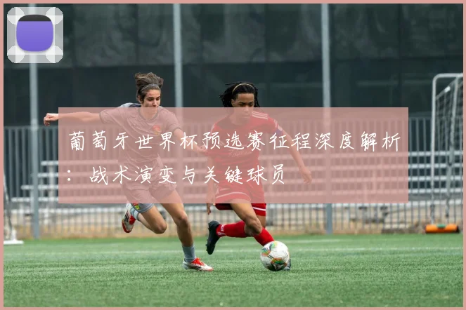 葡萄牙世界杯预选赛征程深度解析：战术演变与关键球员