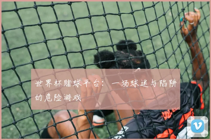 世界杯赌球平台：一场球迷与陷阱的危险游戏