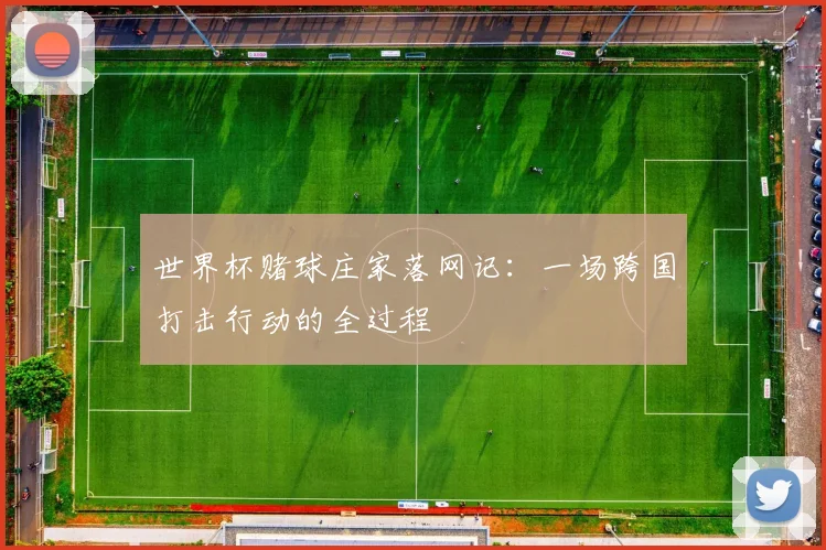 世界杯赌球庄家落网记：一场跨国打击行动的全过程
