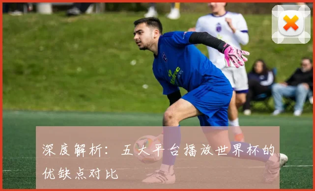 深度解析：五大平台播放世界杯的优缺点对比