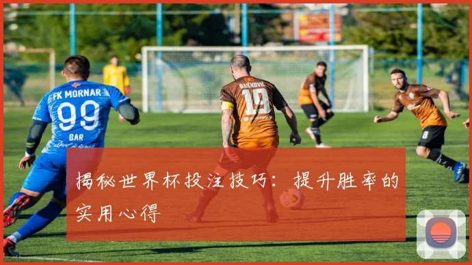 揭秘世界杯投注技巧：提升胜率的实用心得