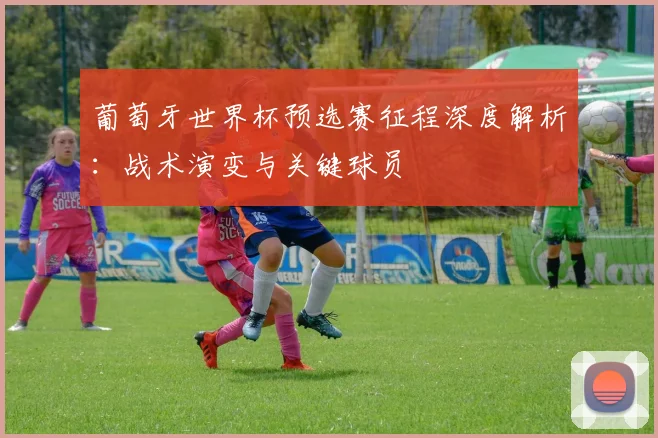葡萄牙世界杯预选赛征程深度解析：战术演变与关键球员