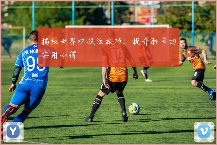 揭秘世界杯投注技巧：提升胜率的实用心得