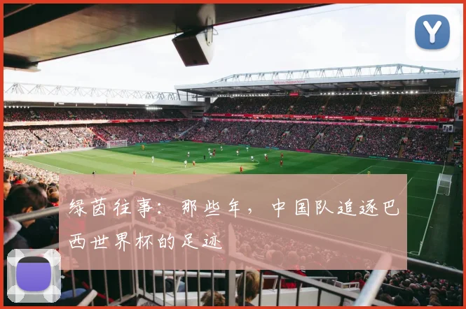 绿茵往事：那些年，中国队追逐巴西世界杯的足迹